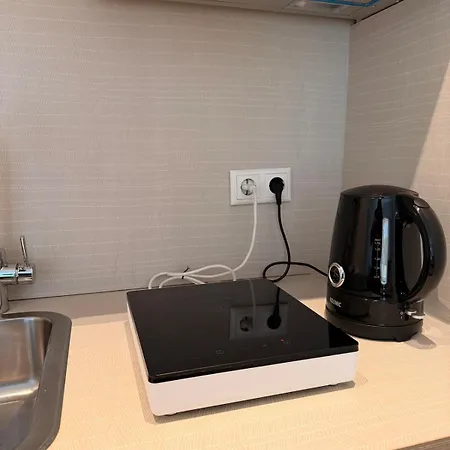 Light-filled Terrace Studio, Netflix, Smart Home, Frankfurt 40 Min Apartment *